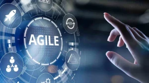 What does an Agile delivery mean to you ; the customer?