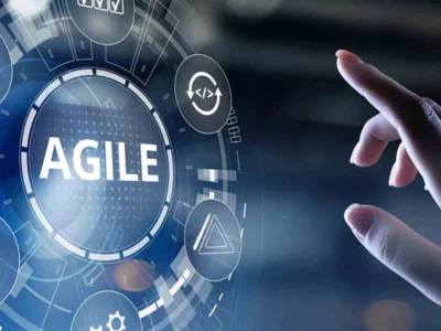 What does an Agile delivery mean to you ; the customer?