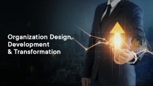 Organization design, development & transformation