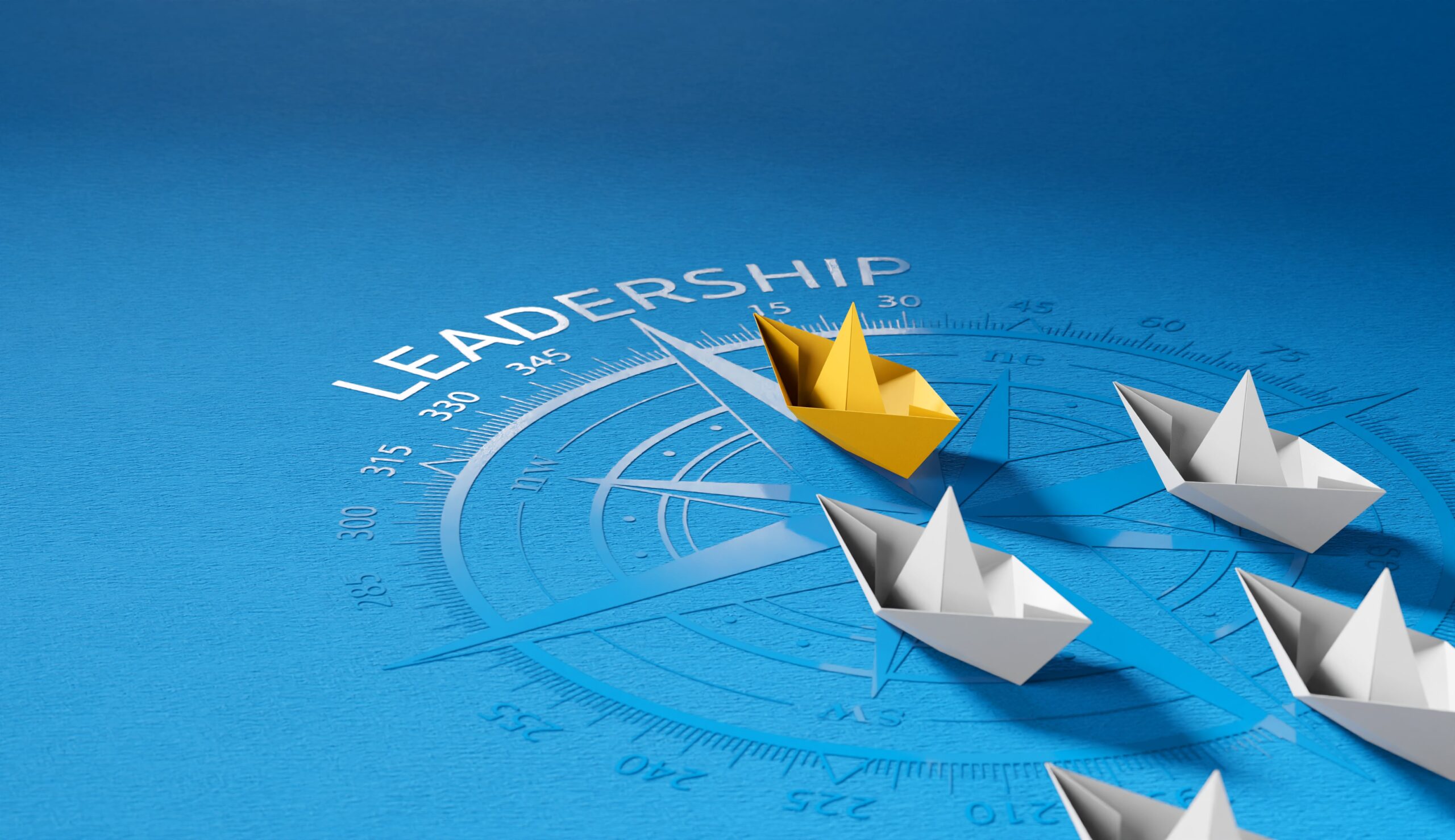 Leadership Development Programs