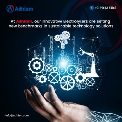 WhatsApp Image 2023-10-13 at 11.26.23 AM