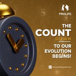 WhatsApp Image 2023-10-27 at 11.21.27 AM