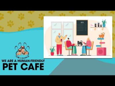 A Human Friendly Pet Cafe | Scooby's Cafe